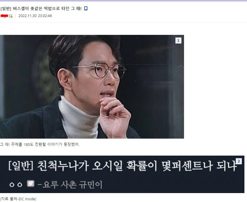 사촌 누나가 최애 버튜버였다