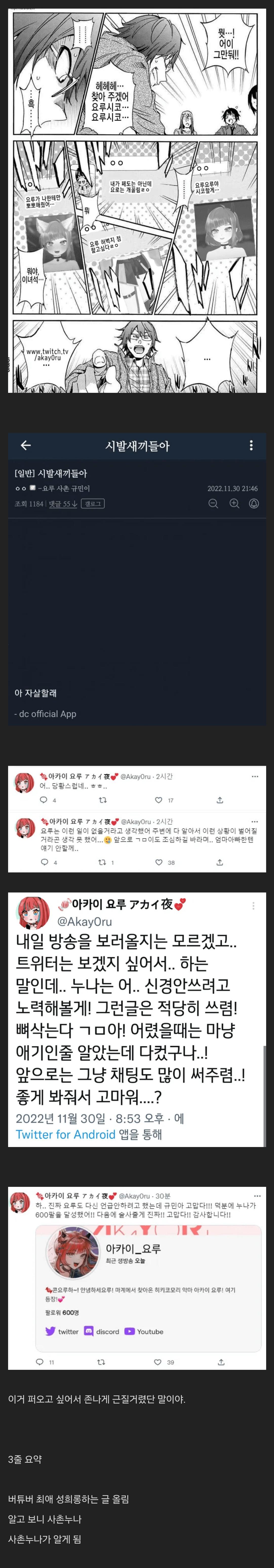사촌 누나가 최애 버튜버였다