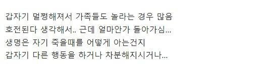 아팠던 사람이나 동물이나 죽기직전에 정신이 멀쩡해지는 현상