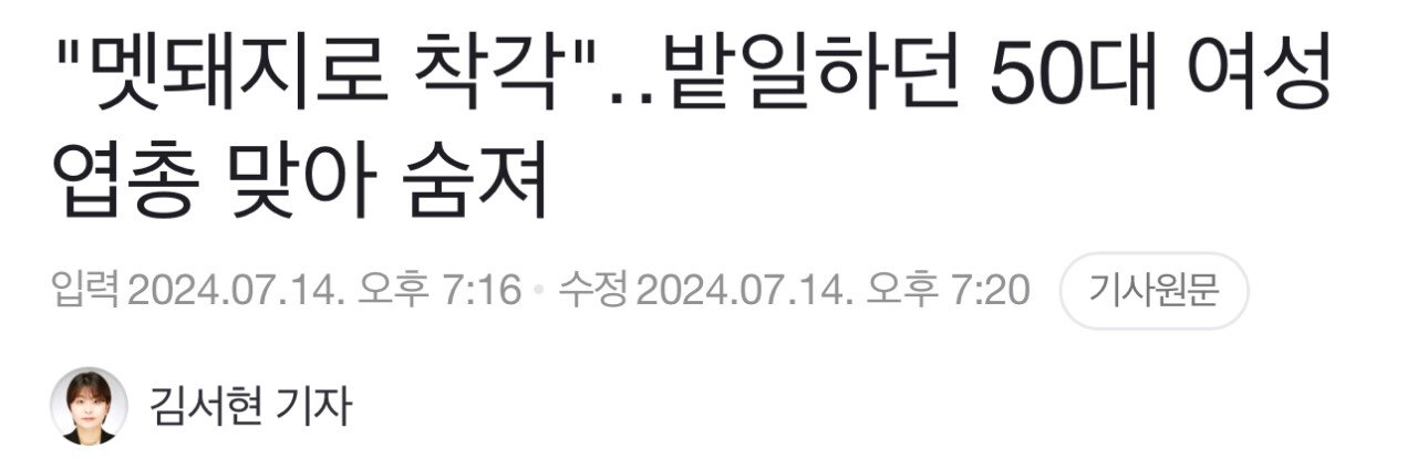 밭일하던 50대 여성, 엽총 맞아 숨져