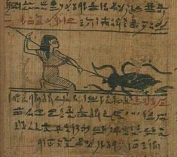 DNA구조로 밝혀진 고대 바퀴벌레 크기