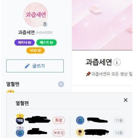 과즙세연 부회장 근황