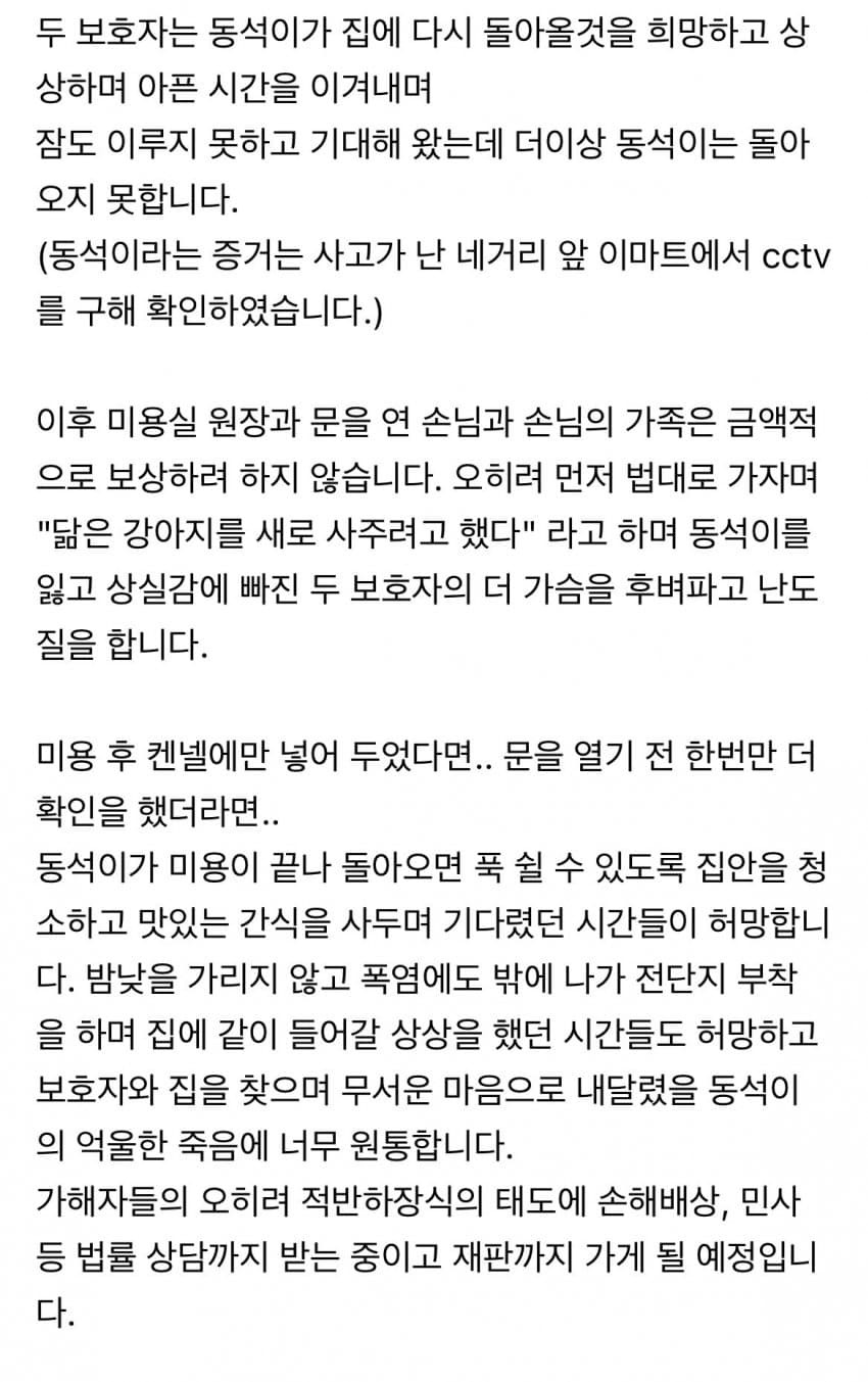 대전 강아지 사망 사건.jpg