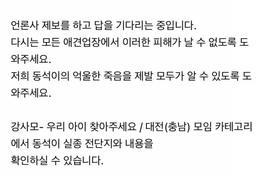 대전 강아지 사망 사건.jpg
