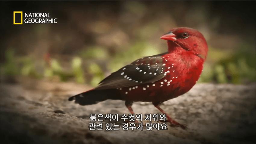 여친 사귀는 법 꿀팁