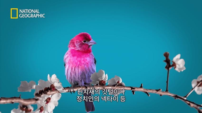 여친 사귀는 법 꿀팁