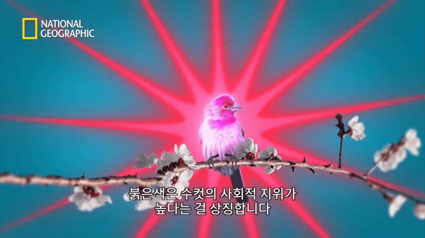 여친 사귀는 법 꿀팁