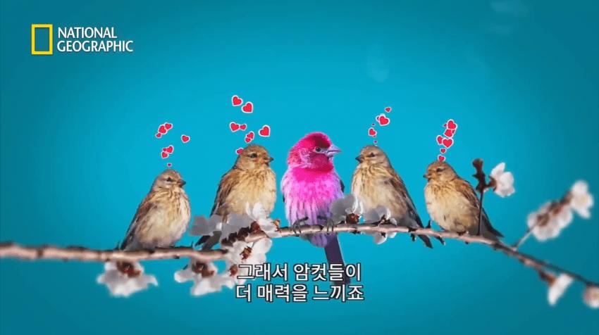 여친 사귀는 법 꿀팁