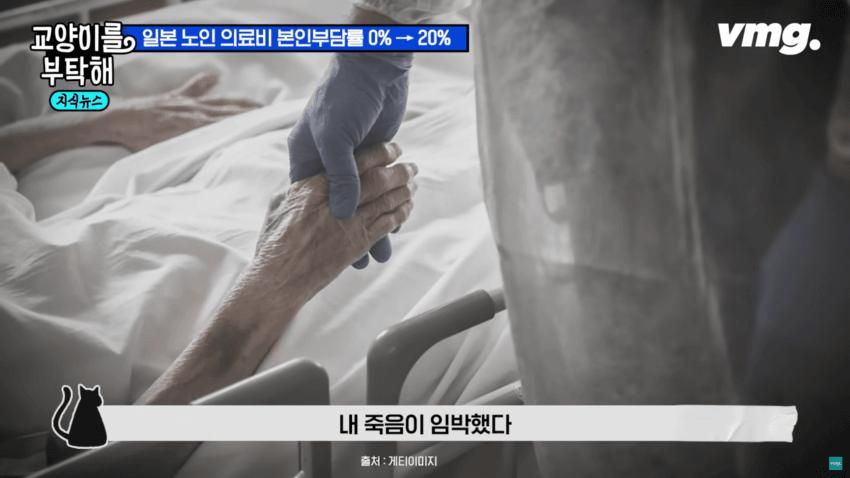 일본 고령화 대책이 한국에게 시사하는 점