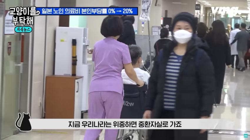일본 고령화 대책이 한국에게 시사하는 점