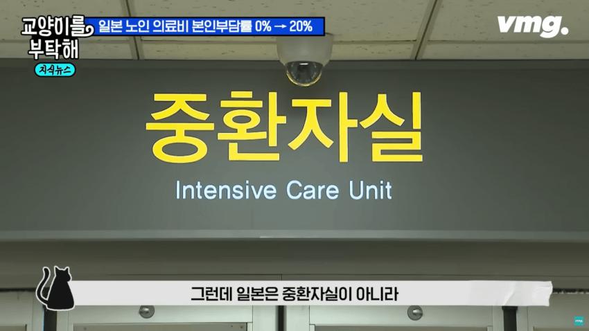 일본 고령화 대책이 한국에게 시사하는 점
