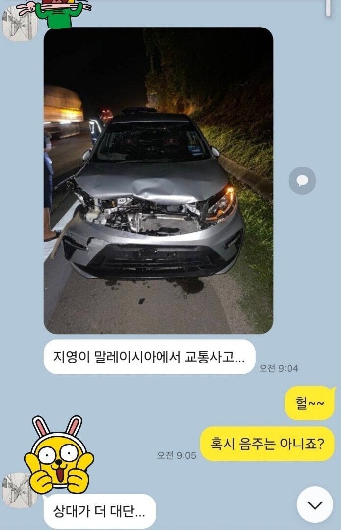 호랑이 교통사고 영상