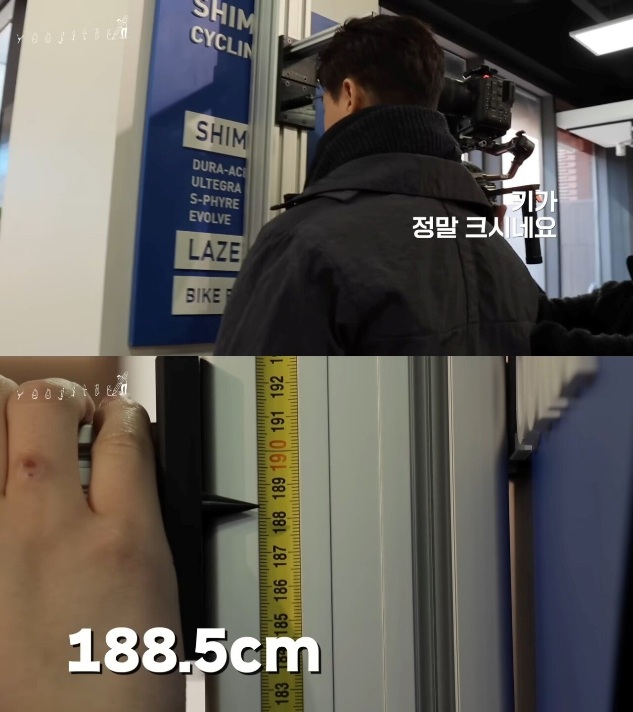 키 188cm 배우 유지태 몸 체감...