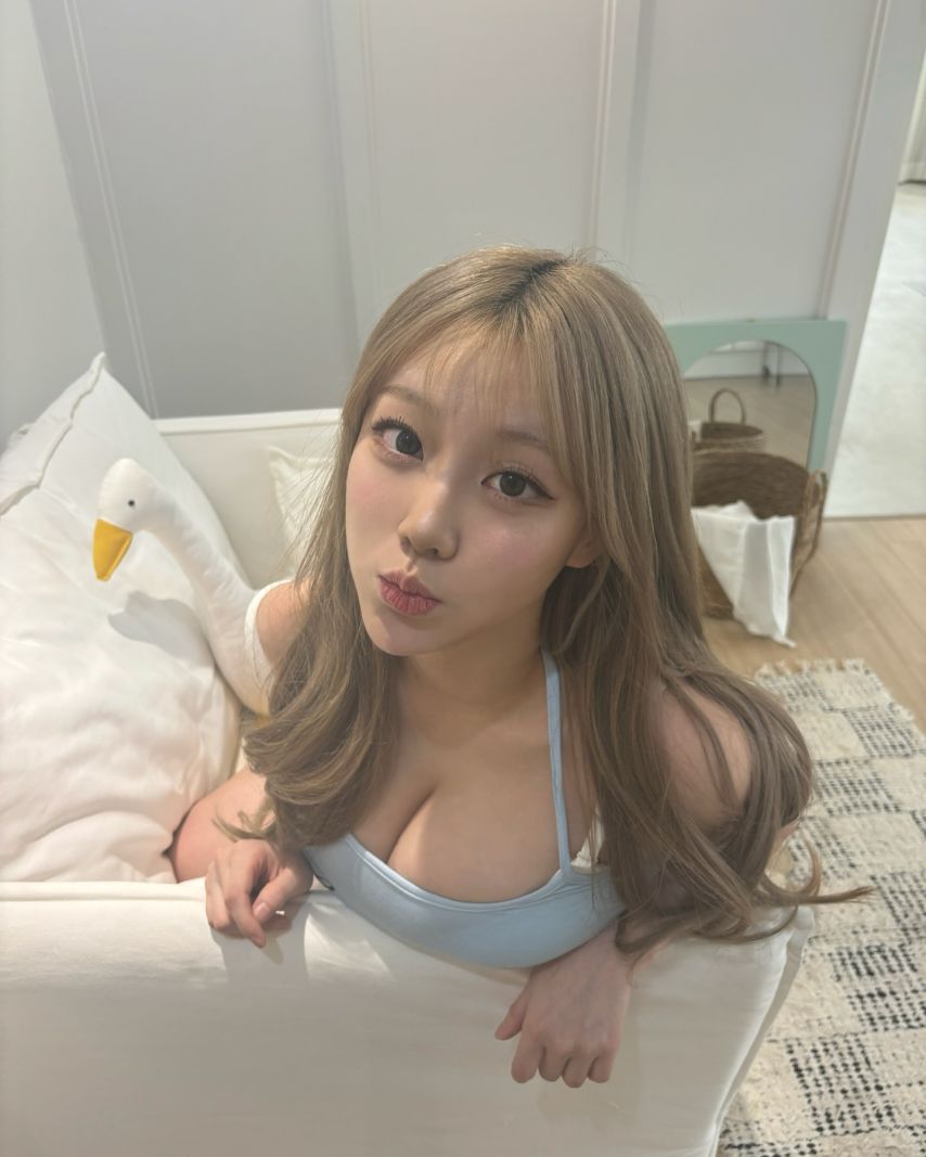 기무세딘 인스타