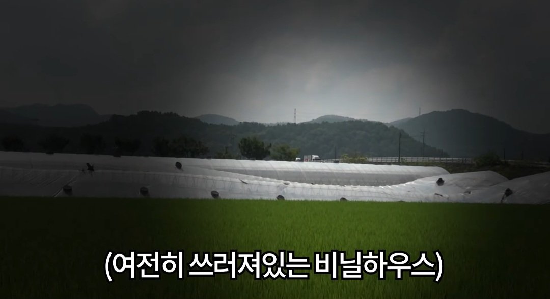보겸 홍수피해 대전 정뱅이마을 근황 2탄