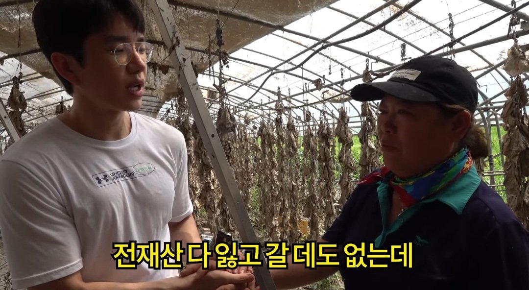 보겸 홍수피해 대전 정뱅이마을 근황 2탄
