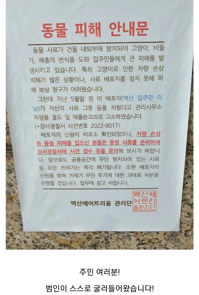 아파트 관리사무소 직원을 고소한 캣맘의 최후