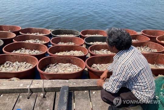 너네 젊을때 우럭,광어회 많이 먹어둬라 ㄷㄷㄷㄷ