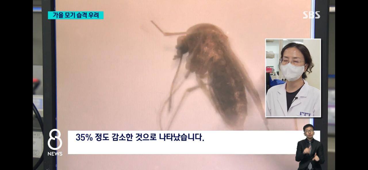 올여름 모기가 없는 이유