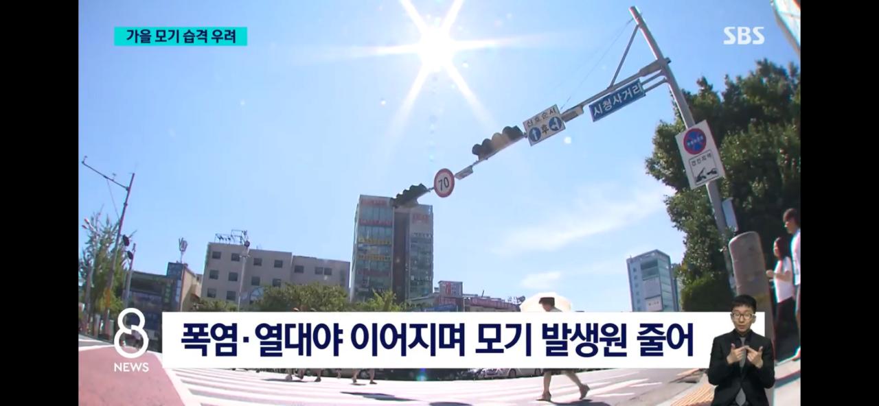 올여름 모기가 없는 이유