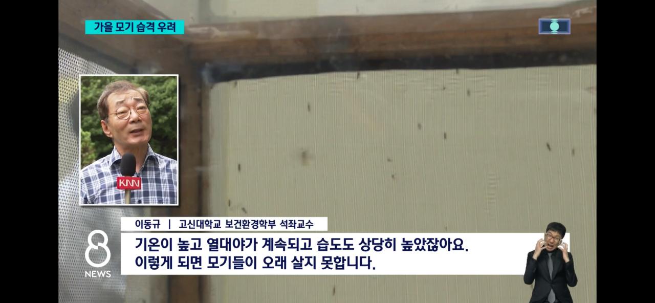올여름 모기가 없는 이유