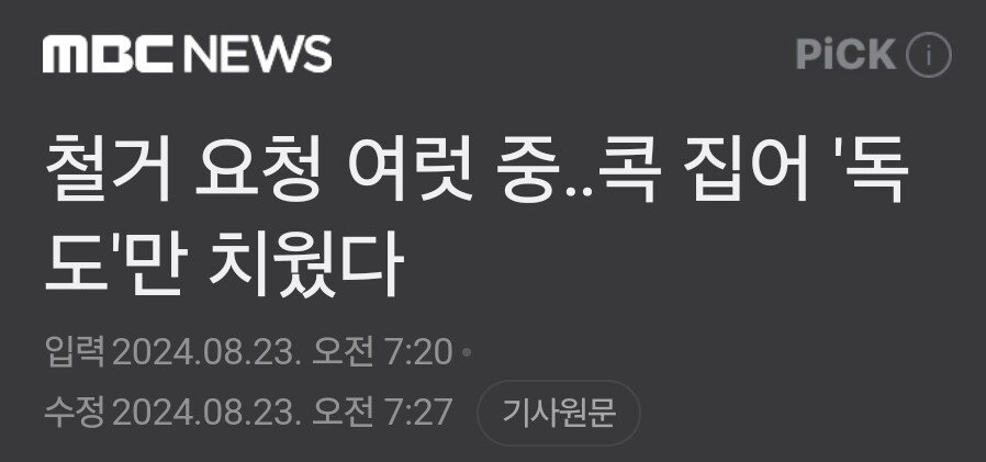 시민안전 때문에 철거했다던 독도 근황