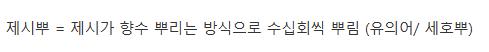향수갤러리에 박제된 연예인