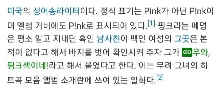 예명이 핑크인 이유
