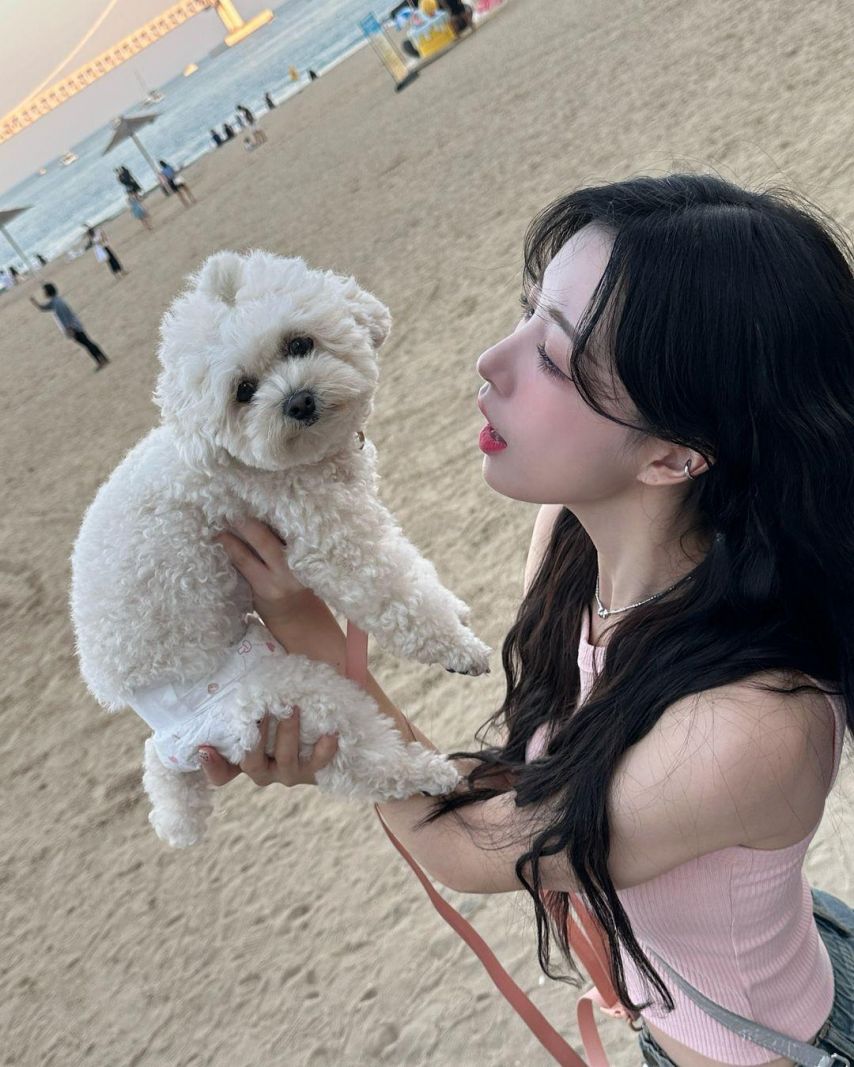 이호정