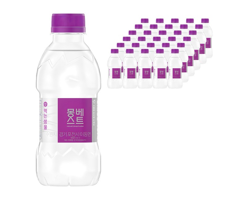 몽베스트 생수, 330ml, 40개