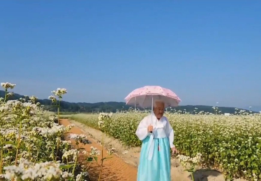 <님아, 그 강을 건너지 마오> 강계열 할머니의 근황