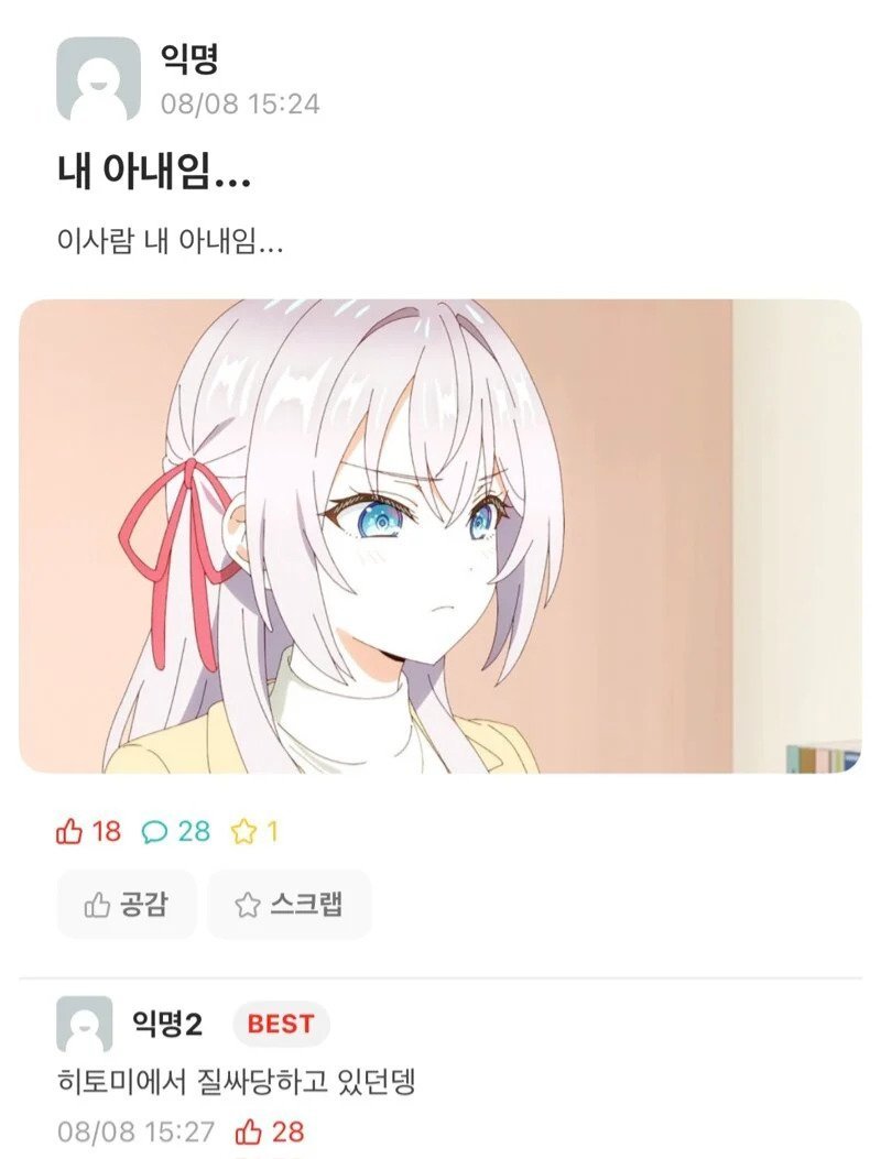 서울대생이 소개하는 와이프