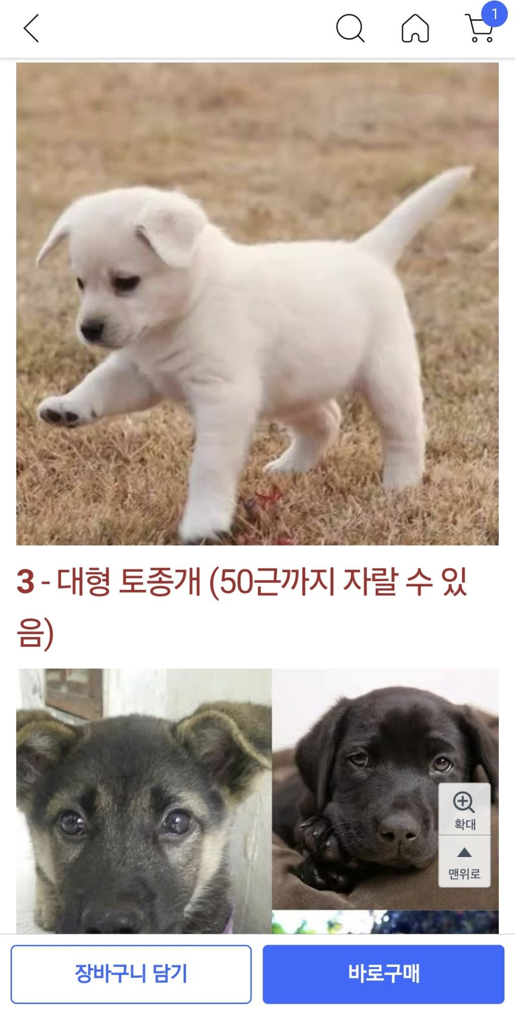 쿠팡에서 판매 중인 강아지