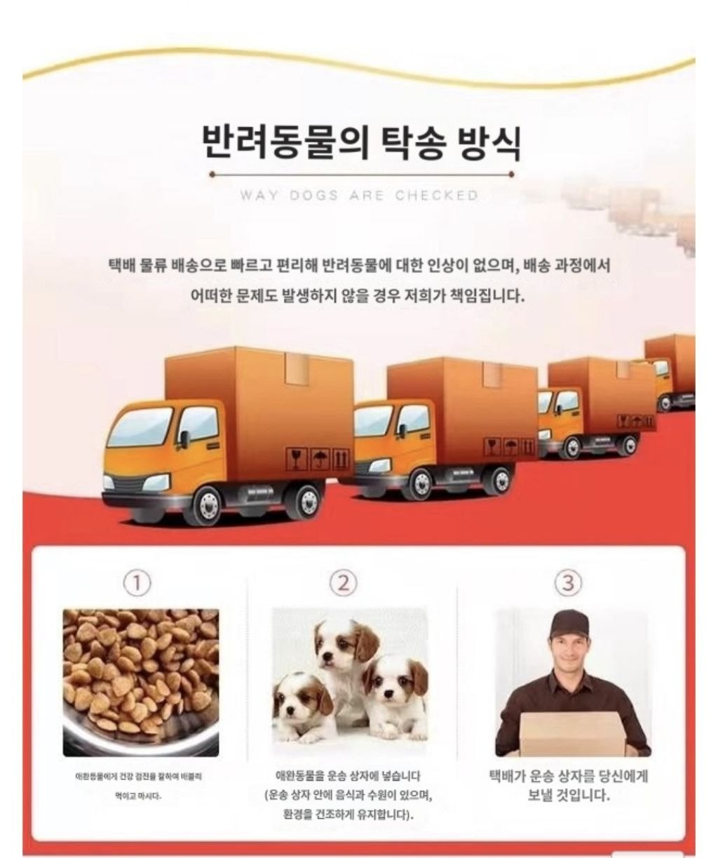 쿠팡에서 판매 중인 강아지
