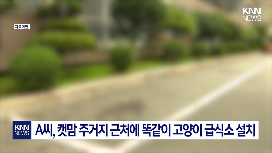 편의점 사장의 미친 판단력