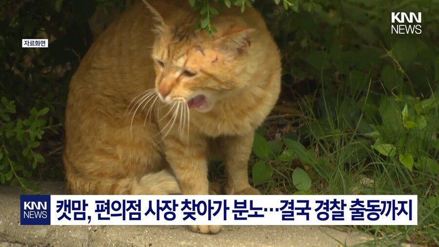 편의점 사장의 미친 판단력