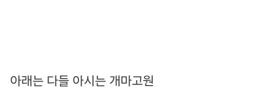 [스압] 울나라에 없는 북한 지형들