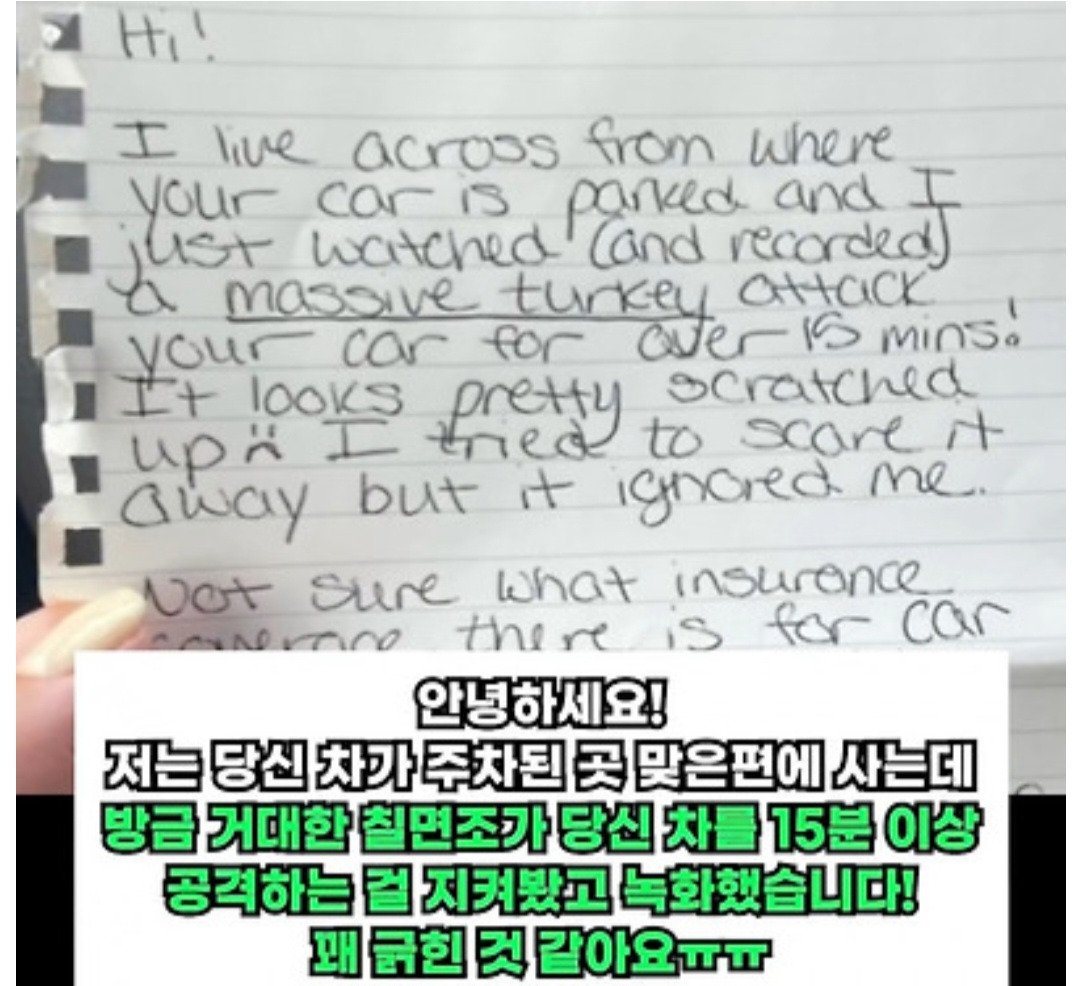 훼손된 차량에 남겨진 보고도 못믿는 황당한 쪽지