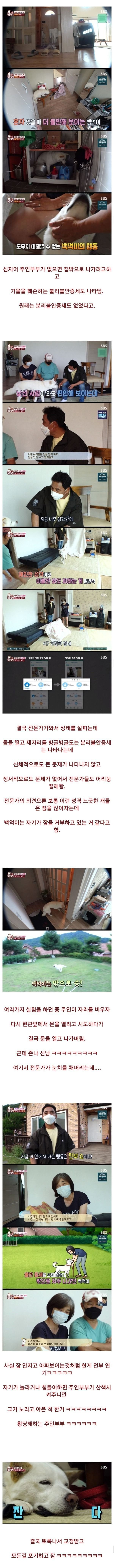 충격적 결말인 불면증 걸린 강아지