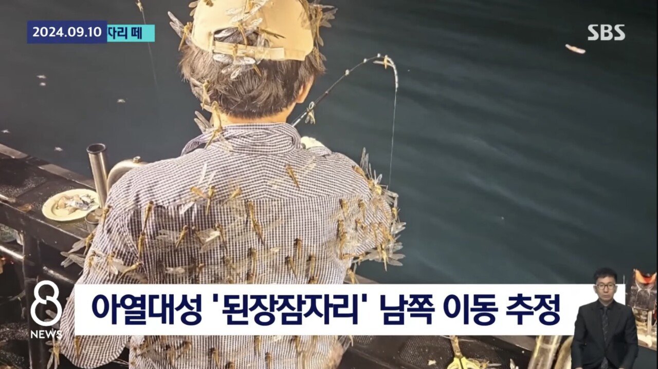 ㅇㅎ) 제주도 앞바다 어선에 미친 잠자리떼 공습