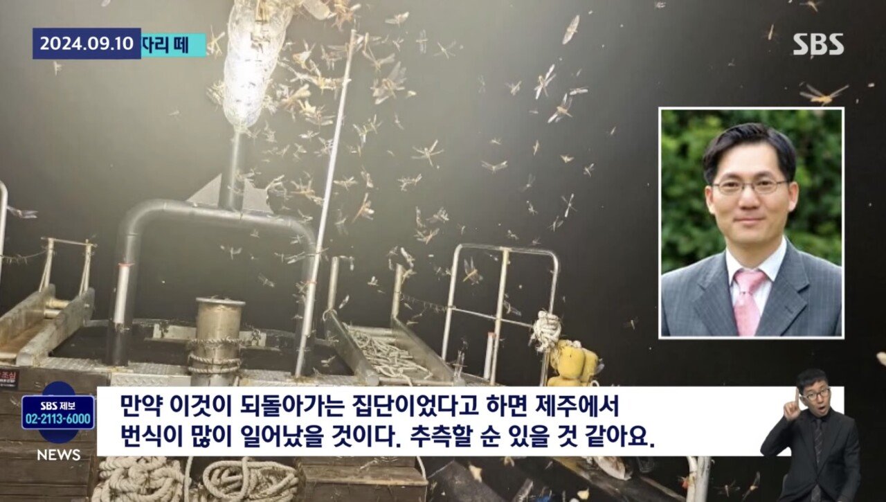 ㅇㅎ) 제주도 앞바다 어선에 미친 잠자리떼 공습