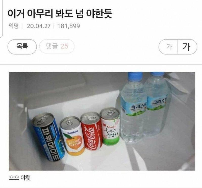 어른들만 아는 야한사진