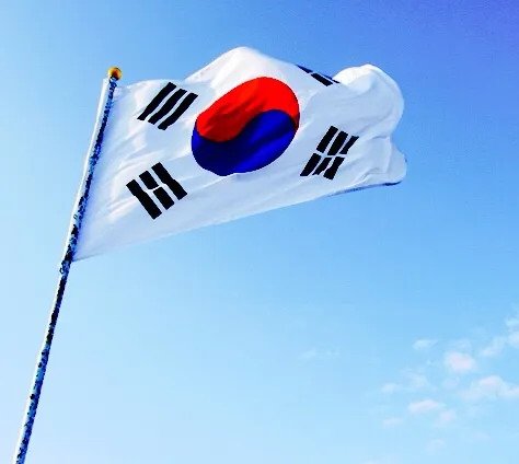 한국에서 외제차 과시하는 베트남 갱단 ㄷㄷ