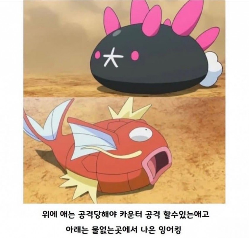 포켓몬 레전드 배틀 장면