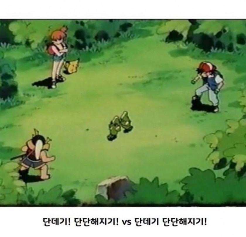 포켓몬 레전드 배틀 장면