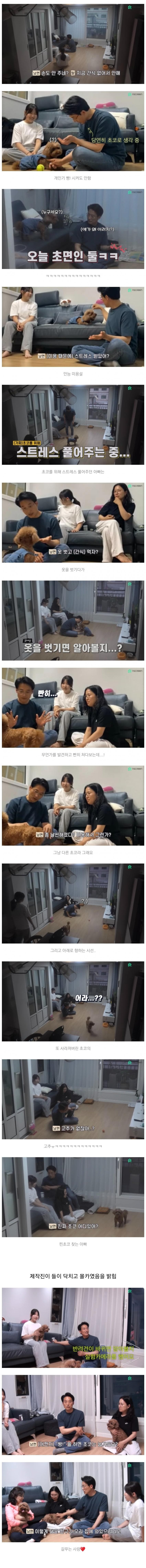 키우는 댕댕이가 바껴도 알아볼까