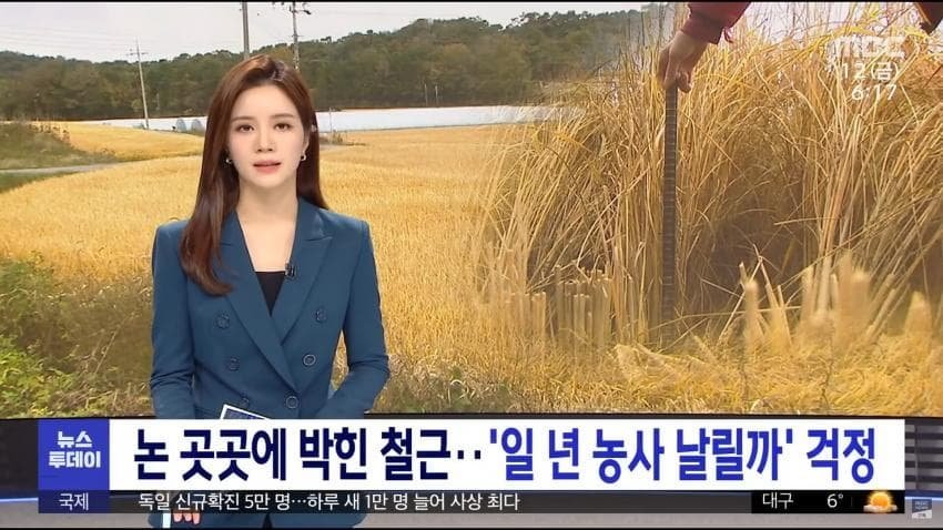 논밭에 자꾸 CCTV를 세우는 이유
