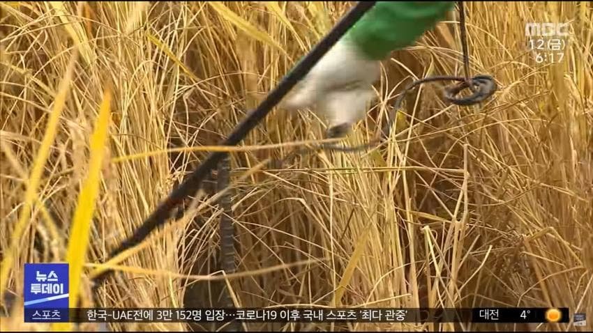 논밭에 자꾸 CCTV를 세우는 이유