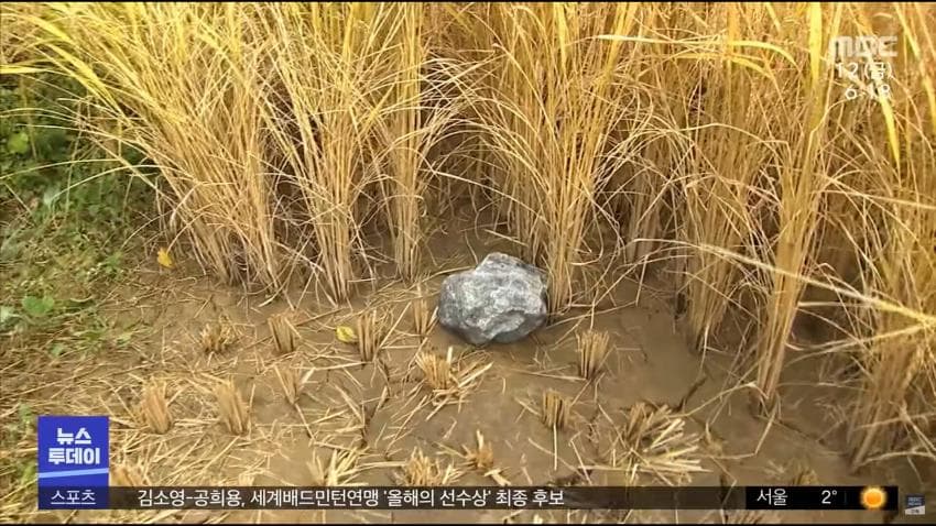 논밭에 자꾸 CCTV를 세우는 이유