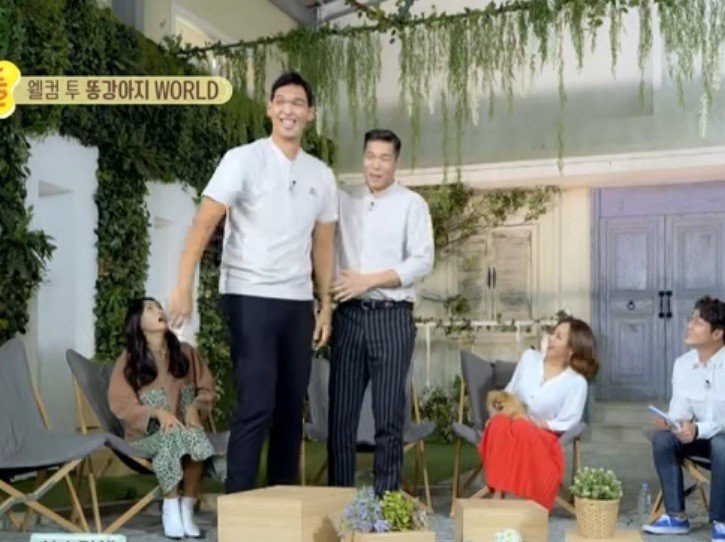 키 221cm 체감하기 ㅎㄷㄷㄷㄷ